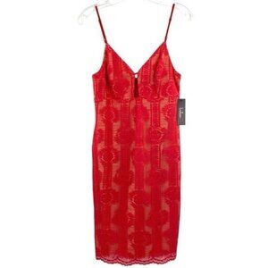 Lulu's Red Lace Mini Dress